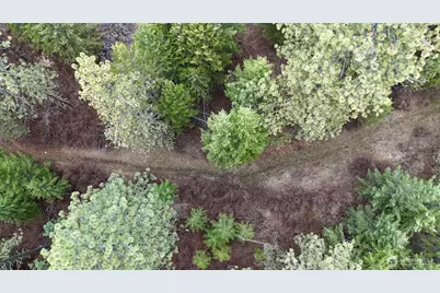 817 Dominion Springs Way, Colville, WA 99114 - Photo 27