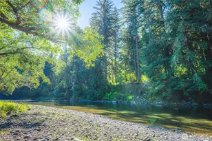 173 Pleasant Meadows, Beaver, WA 98305 - Photo 33