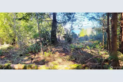 170 E Sprague, Union, WA 98592 - Photo 5