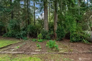 4210 77th Ave Ct NW, Gig Harbor, WA 98335 - Photo 39