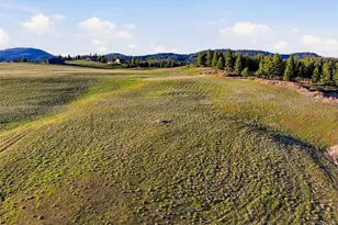 [Address not provided], Elk, WA 99009 - Photo 5