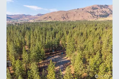 96 Twin Lakes Drive, Winthrop, WA 98862 - Photo 15