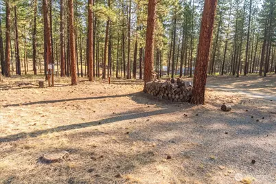 96 Twin Lakes Drive, Winthrop, WA 98862 - Photo 23