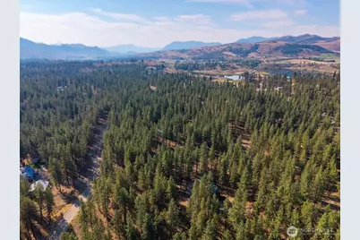 96 Twin Lakes Drive, Winthrop, WA 98862 - Photo 5