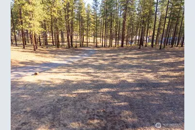 96 Twin Lakes Drive, Winthrop, WA 98862 - Photo 3