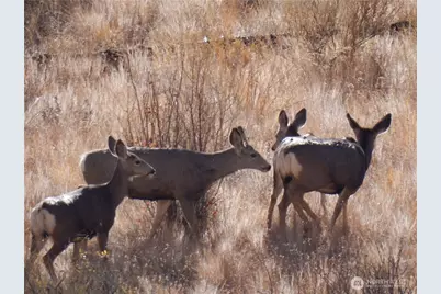 1024 Columbia Point, Entiat, WA 98822 - Photo 23