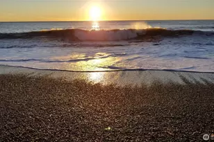 2619 Mora Rd, Forks, WA 98331 - Photo 17