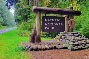 2619 Mora Rd, Forks, WA 98331 - Photo 3