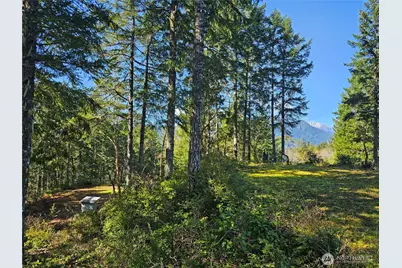 753 Jupiter Loop, Brinnon, WA 98320 - Photo 7