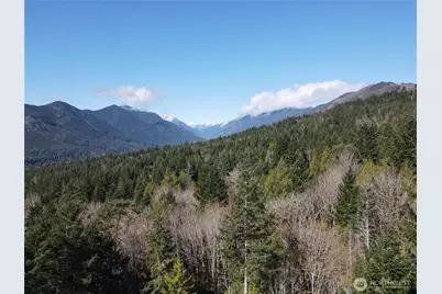 753 Jupiter Loop, Brinnon, WA 98320 - Photo 5