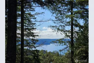 753 Jupiter Loop, Brinnon, WA 98320 - Photo 1