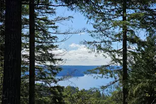 753 Jupiter Loop, Brinnon, WA 98320 - Photo 1