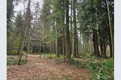 197 Xx 242nd Avenue NE, Woodinville, WA 98077 - Photo 15