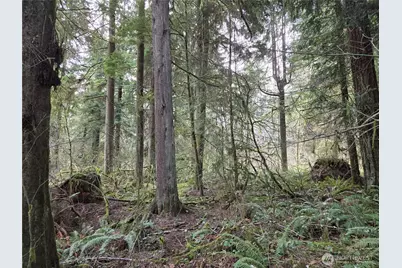 197 Xx 242nd Avenue NE, Woodinville, WA 98077 - Photo 19