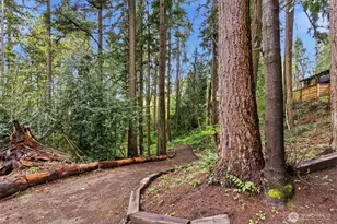 20249 149th Pl NE, Woodinville, WA 98072 - Photo 37