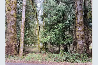 680 Mountain Trail, Brinnon, WA 98320 - Photo 9