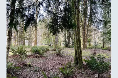 680 Mountain Trail, Brinnon, WA 98320 - Photo 7