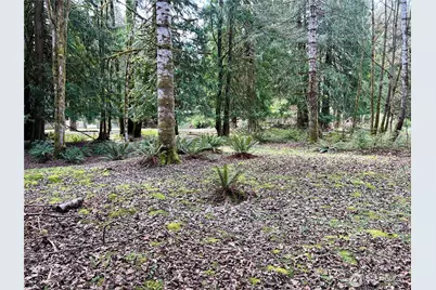 680 Mountain Trail, Brinnon, WA 98320 - Photo 5