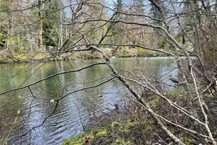 680 Mountain Trail, Brinnon, WA 98320 - Photo 1