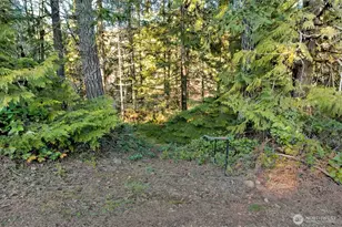 50 N Standstill Dr S, Hoodsport, WA 98548 - Photo 31