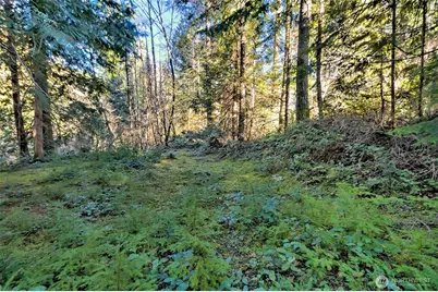 50 N Standstill Drive S, Hoodsport, WA 98548 - Photo 33