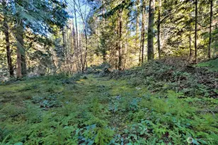 50 N Standstill Dr S, Hoodsport, WA 98548 - Photo 33