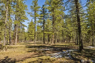 36 Wanawish Loop, Cle Elum, WA 98922 - Photo 7
