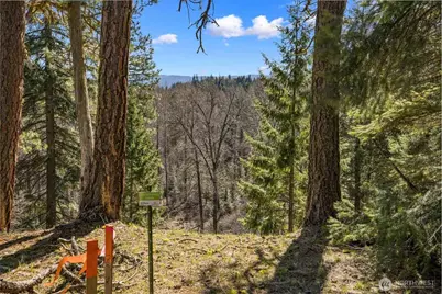 38 Wanawish Loop, Cle Elum, WA 98922 - Photo 9