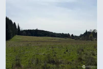 11938 Case Extension Road SW, Olympia, WA 98512 - Photo 23