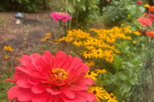 2501 SW 149th St, Burien, WA 98166 - Photo 35