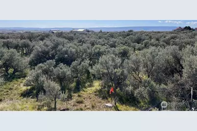 0 Adams Road NW, Quincy, WA 98848 - Photo 7