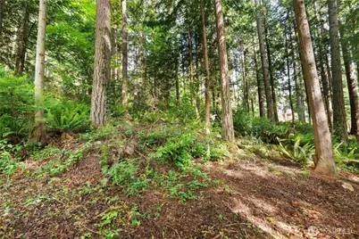 3304 W Ames Lake Drive NE, Redmond, WA 98053 - Photo 9