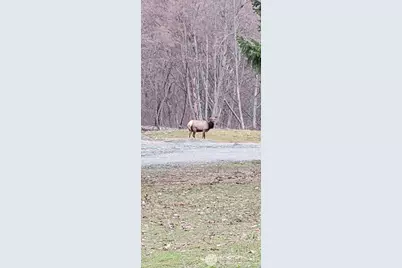 351 McKee Lane, Cle Elum, WA 98922 - Photo 21