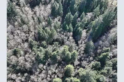 0 Xxx Sr 525, Langley, WA 98260 - Photo 13