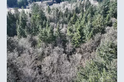 0 Xxx Sr 525, Langley, WA 98260 - Photo 11