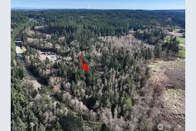 0 Xxx Sr 525, Langley, WA 98260 - Photo 7
