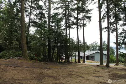 85 Quinault Loop, Port Townsend, WA 98368 - Photo 17