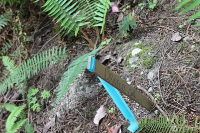 85 Quinault Loop, Port Townsend, WA 98368 - Photo 15