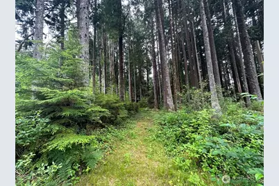 44 Robin Lane, Pacific Beach, WA 98571 - Photo 1