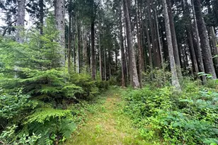 44 Robin Ln, Pacific Beach, WA 98571 - Photo 1