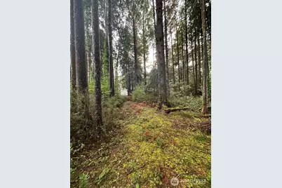 44 Robin Lane, Pacific Beach, WA 98571 - Photo 9