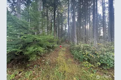 44 Robin Lane, Pacific Beach, WA 98571 - Photo 5