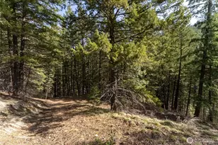 26 Smith Canyon Rd, Carlton, WA 98814 - Photo 39