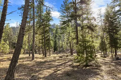 31 Domerie Park Loop, Cle Elum, WA 98922 - Photo 13