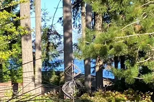 3113 Emerald Ln, Gig Harbor, WA 98335 - Photo 37