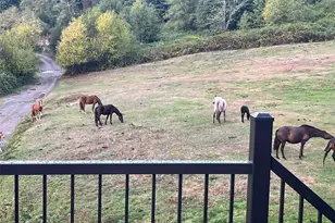 9410 76th Ave NE, Marysville, WA 98270 - Photo 35