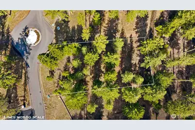 60 Wanawish Loop, Cle Elum, WA 98922 - Photo 5