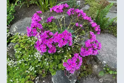 1910 NW 97th Street, Seattle, WA 98117 - Photo 37