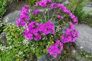 1910 NW 97th St, Seattle, WA 98117 - Photo 35