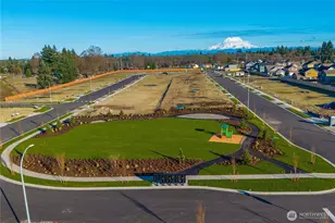 9846 Ferns Loop SE, Yelm, WA 98597 - Photo 23